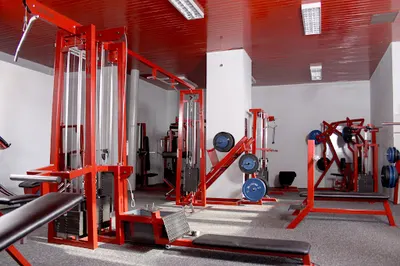 Siłownia Focus Kutno